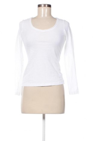 Γυναικεία μπλούζα Zero, Μέγεθος XS, Χρώμα Λευκό, Τιμή 7,67 €