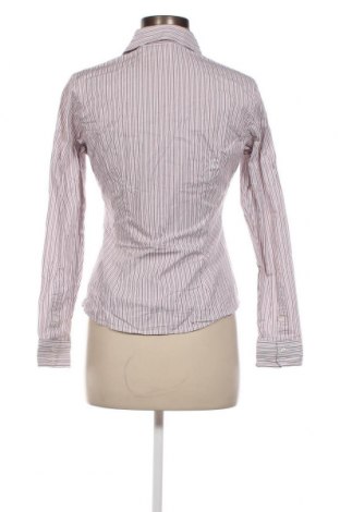 Γυναικείο πουκάμισο Montego, Μέγεθος M, Χρώμα Πολύχρωμο, Τιμή 2,47 €