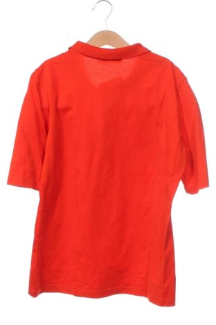 Damen T-Shirt Hessnatur, Größe S, Farbe Rot, Preis 6,96 €
