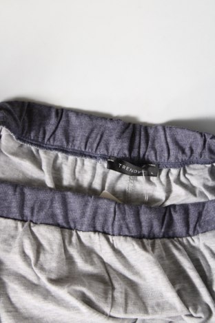 Damen Shorts Trendyol, Größe L, Farbe Grau, Preis € 4,08
