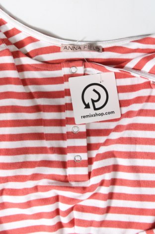Γυναικείο αμάνικο μπλουζάκι Anna Field, Μέγεθος M, Χρώμα Πολύχρωμο, Τιμή 5,63 €