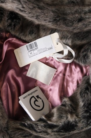 Γυναικείο παλτό Gas, Μέγεθος XL, Χρώμα Γκρί, Τιμή 32,77 €