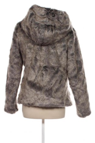 Γυναικείο παλτό Gas, Μέγεθος XL, Χρώμα Γκρί, Τιμή 32,77 €