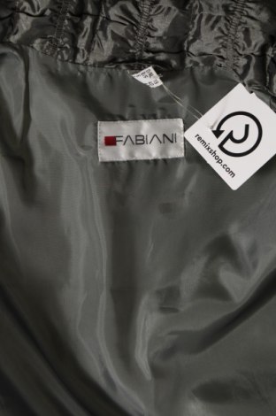 Γυναικείο μπουφάν Fabiani, Μέγεθος M, Χρώμα Πράσινο, Τιμή 6,82 €