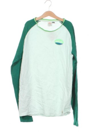 Kinder Shirt Vingino, Größe 15-18y/ 170-176 cm, Farbe Grün, Preis 13,92 €
