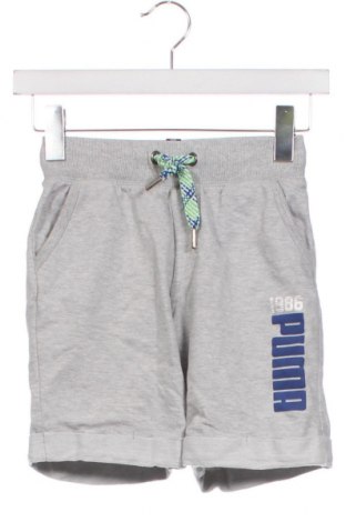 Kinder Shorts PUMA, Größe 8-9y/ 134-140 cm, Farbe Grau, Preis 18,37 €