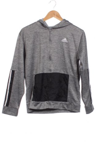 Kinder Sweatshirts Adidas, Größe 12-13y/ 158-164 cm, Farbe Grau, Preis 16,28 €