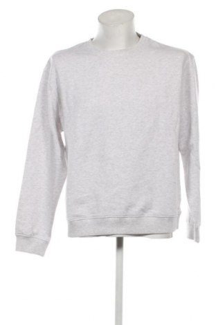 Ανδρική μπλούζα Alcott, Μέγεθος XL, Χρώμα Γκρί, Τιμή 15,98 €