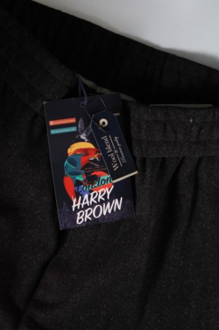 Мъжки панталон Harry Brown, Размер M, Цвят Сив, Цена 22,44 лв.