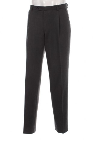 Мъжки панталон Sunwill, Размер L, Цвят Сив, Цена 7,48 лв.