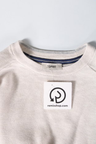 Ανδρικό πουλόβερ Esprit, Μέγεθος S, Χρώμα Γκρί, Τιμή 16,37 €