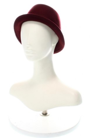 Hut Liu Jo, Farbe Rot, Preis 25,06 €
