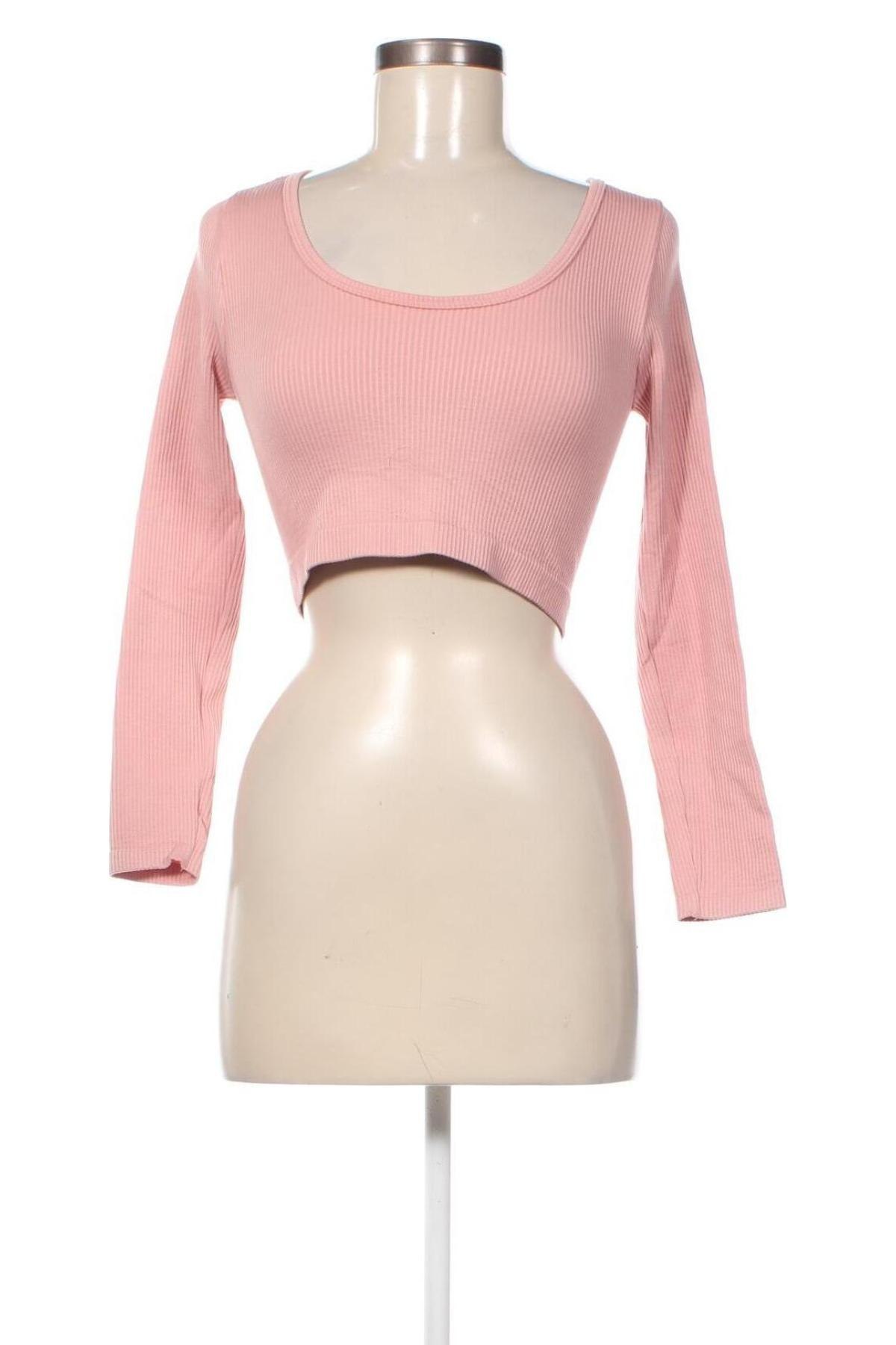 Damen Shirt Alcott, Größe M, Farbe Rosa, Preis € 1,92