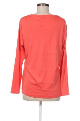 Damen Shirt Brax, Größe M, Farbe Rot, Preis 33,99 €