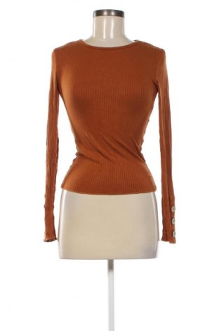 Damen Shirt Colloseum, Größe XS, Farbe Braun, Preis € 13,49