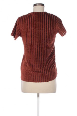 Damen Shirt Costes, Größe XS, Farbe Braun, Preis 5,99 €