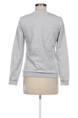 Damen Shirt Eksept, Größe S, Farbe Grau, Preis € 4,99