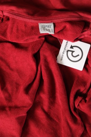 Damen Shirt Esprit, Größe S, Farbe Rot, Preis € 7,99