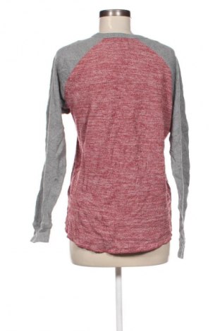 Damen Shirt Express, Größe L, Farbe Mehrfarbig, Preis 23,99 €