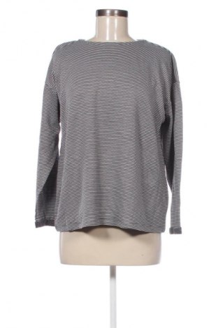 Damen Shirt Laura Torelli, Größe L, Farbe Mehrfarbig, Preis € 13,49