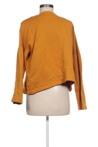 Damen Shirt Next, Größe L, Farbe Gelb, Preis € 17,36