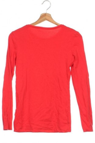 Damen Shirt Primark, Größe XS, Farbe Rot, Preis € 10,00