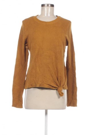 Damen Shirt TeXTURE & THREAD Madewell, Größe L, Farbe Braun, Preis € 23,99