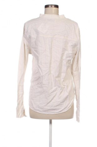 Damenbluse Abercrombie & Fitch, Größe XL, Farbe Beige, Preis € 18,99