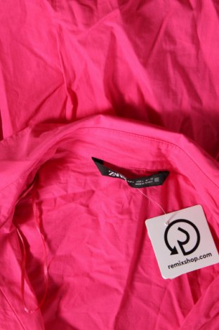 Damenbluse Zara, Größe L, Farbe Rosa, Preis € 14,00