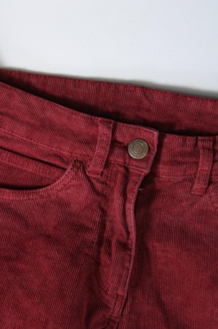 Pantaloni de velvet de femei, Mărime S, Culoare Roșu, Preț 38,99 Lei