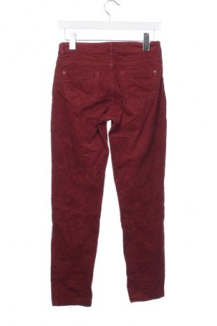 Pantaloni de velvet de femei, Mărime S, Culoare Roșu, Preț 38,99 Lei