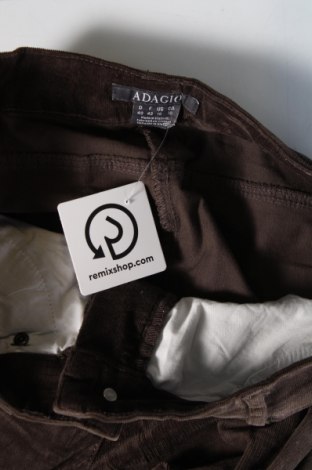 Pantaloni de velvet de femei Adagio, Mărime L, Culoare Maro, Preț 95,99 Lei