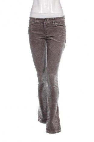 Damen Cordhose Esprit, Größe S, Farbe Beige, Preis € 33,99