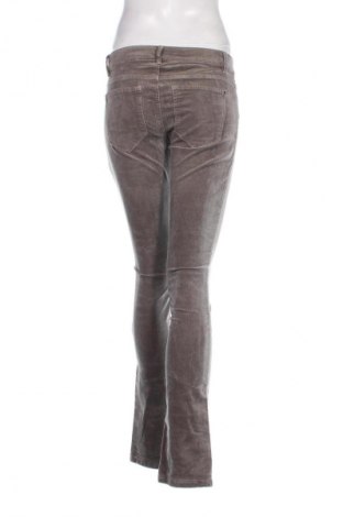 Damen Cordhose Esprit, Größe S, Farbe Beige, Preis € 33,99