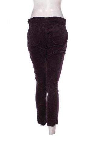 Damen Cordhose Gap, Größe M, Farbe Rot, Preis € 23,99