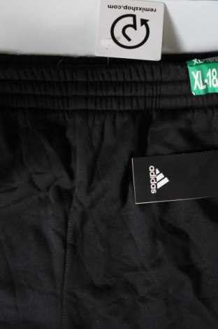 Damenhose Adidas, Größe XL, Farbe Schwarz, Preis 82,49 €