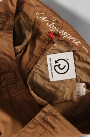 Dámské kalhoty  Edc By Esprit, Velikost S, Barva Hnědá, Cena  349,00 Kč