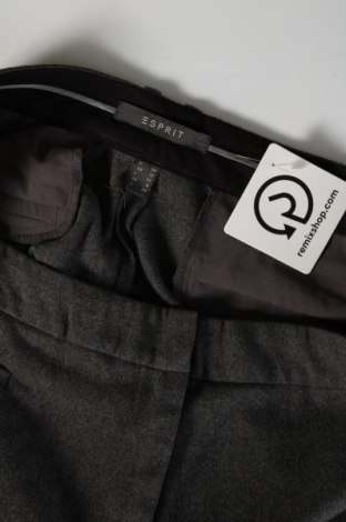 Damenhose Esprit, Größe L, Farbe Grau, Preis € 20,97