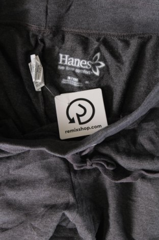 Damenhose Hanes, Größe M, Farbe Grau, Preis € 20,49