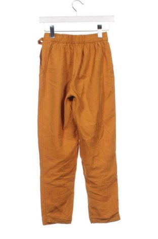 Damenhose Pull&Bear, Größe XS, Farbe Orange, Preis 5,99 €