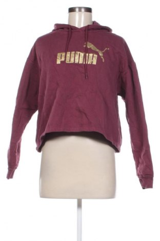 Damen Sweatshirt PUMA, Größe M, Farbe Rot, Preis € 33,99