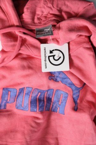 Damen Sweatshirt PUMA, Größe S, Farbe Rosa, Preis 27,49 €