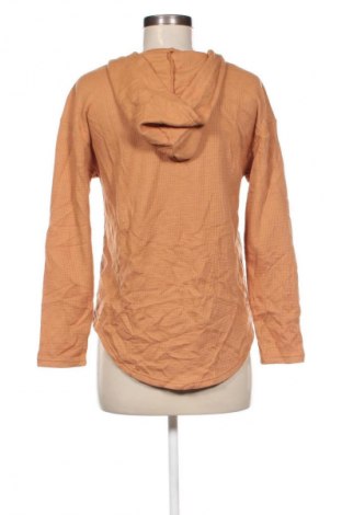 Damen Sweatshirt SHEIN, Größe M, Farbe Braun, Preis € 4,99