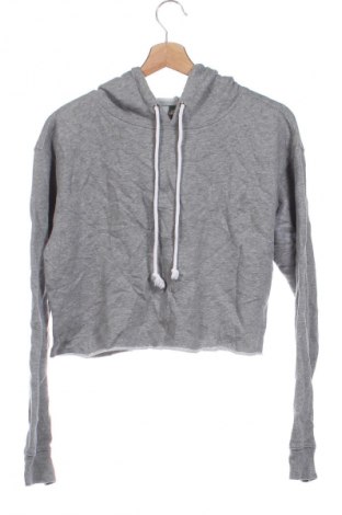 Damen Sweatshirt Wild Fable, Größe XS, Farbe Grau, Preis € 20,49