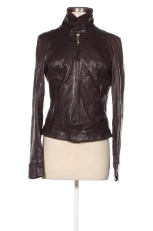 Damen Lederjacke, Größe XL, Farbe Braun, Preis 40,99 €