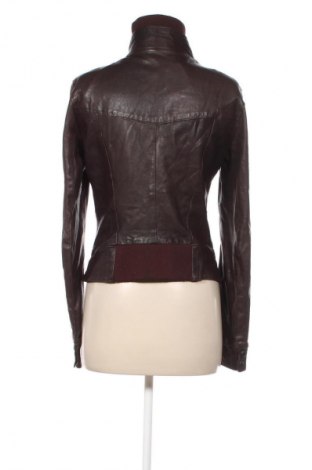 Damen Lederjacke, Größe XL, Farbe Braun, Preis 37,99 €