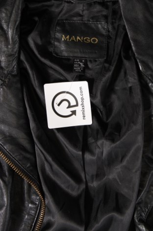 Damen Lederjacke Mango, Größe S, Farbe Schwarz, Preis € 57,49