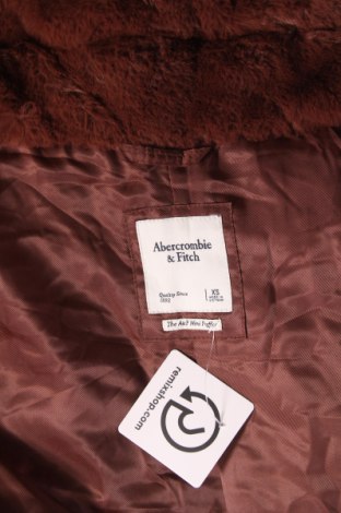 Damenmantel Abercrombie & Fitch, Größe XS, Farbe Braun, Preis € 105,49