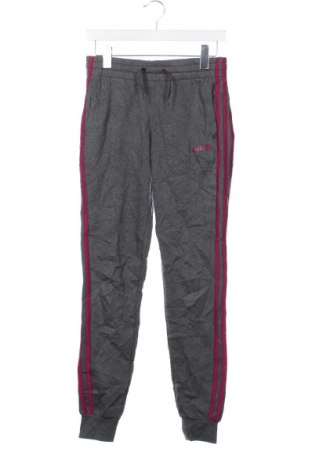 Pantaloni trening de femei Adidas, Mărime XS, Culoare Gri, Preț 134,99 Lei