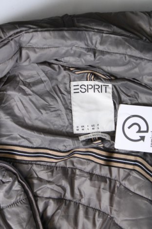 Damenjacke Esprit, Größe M, Farbe Grau, Preis € 47,99